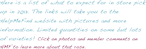 Here is a list of what to expect for in store pick up in 2013. The links will take you to the HelpMeFind website with pictures and more information. Limited quantities on some but lots of varieties! Click on photos and member comments on HMF to learn more about that rose.